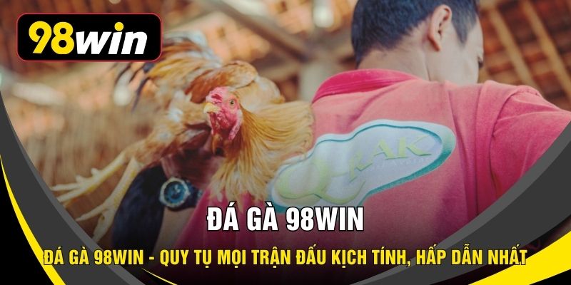 Đá Gà 98WIN - Quy Tụ Mọi Trận Đấu Kịch Tính, Hấp Dẫn Nhất