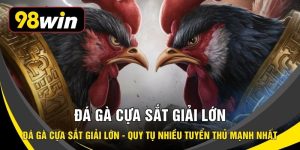 Đá Gà Cựa Sắt Giải Lớn - Quy Tụ Nhiều Tuyển Thủ Mạnh Nhất