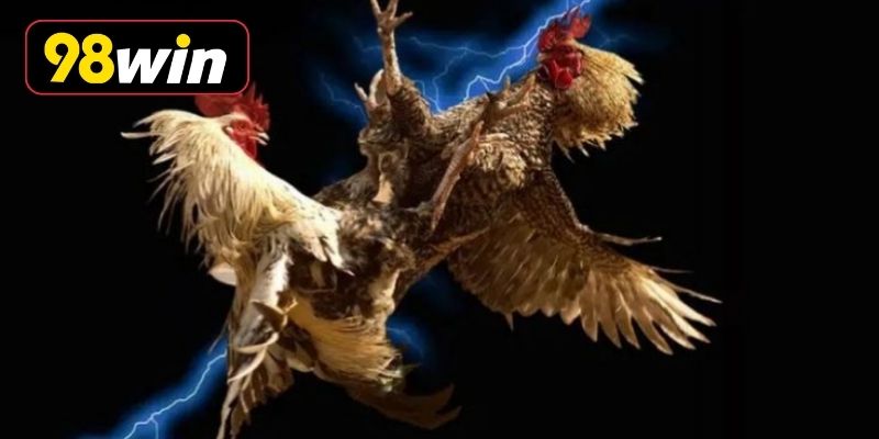 Kinh nghiệm lựa chọn giống tốt chuẩn xác