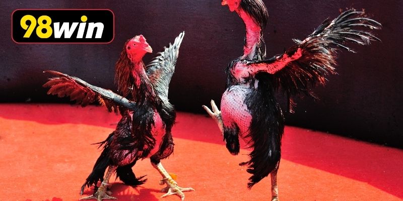 Quy trình trải nghiệm sân chơi