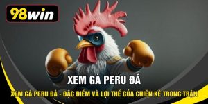 Xem Gà Peru Đá - Đặc Điểm Và Lợi Thế Của Chiến Kê Trong Trận
